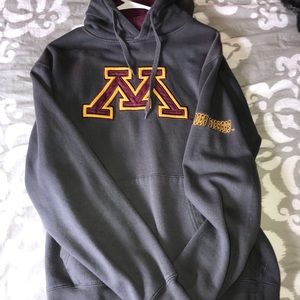 Grey Minnesota Hoodie